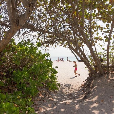 Castle Beach: Rumba Suite Miami Beach Dış mekan fotoğraf