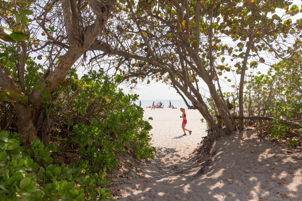 Castle Beach: Rumba Suite Miami Beach Dış mekan fotoğraf